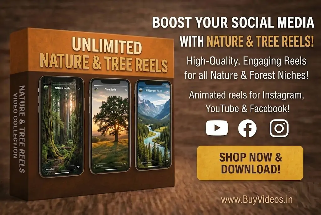 Nature and Tree Reels
